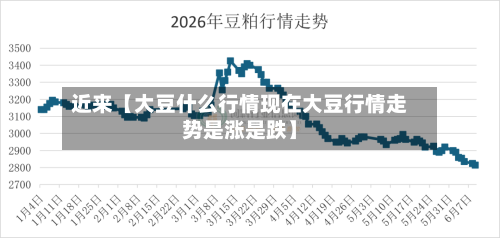 近来【大豆什么行情现在大豆行情走势是涨是跌】-第3张图片