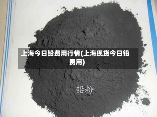 上海今日铅费用行情(上海现货今日铅费用)