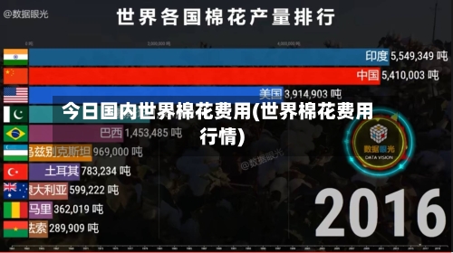 今日国内世界棉花费用(世界棉花费用行情)-第3张图片