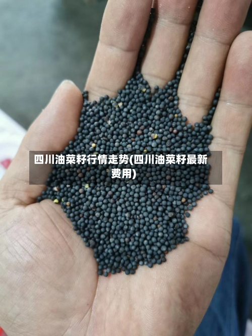 四川油菜籽行情走势(四川油菜籽最新费用)