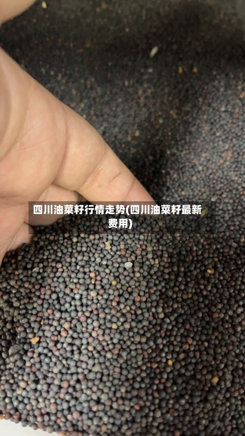 四川油菜籽行情走势(四川油菜籽最新费用)-第3张图片