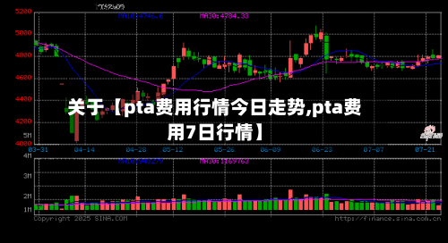 关于【pta费用行情今日走势,pta费用7日行情】-第2张图片