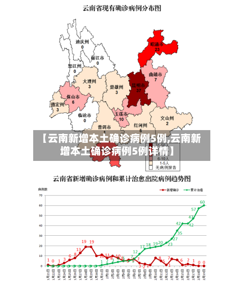 【云南新增本土确诊病例5例,云南新增本土确诊病例5例详情】-第2张图片