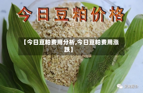 【今日豆粕费用分析,今日豆粕费用涨跌】