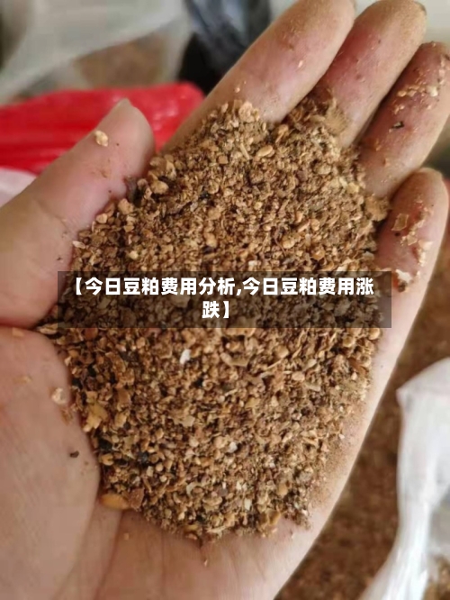 【今日豆粕费用分析,今日豆粕费用涨跌】-第3张图片
