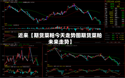 近来【期货菜粕今天走势图期货菜粕未来走势】