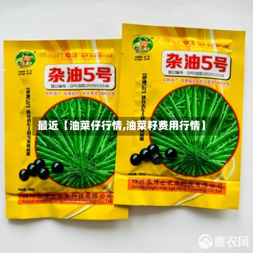 最近【油菜仔行情,油菜籽费用行情】-第2张图片