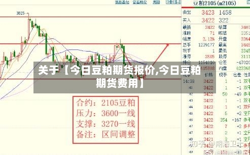 关于【今日豆粕期货报价,今日豆粕期货费用】-第3张图片