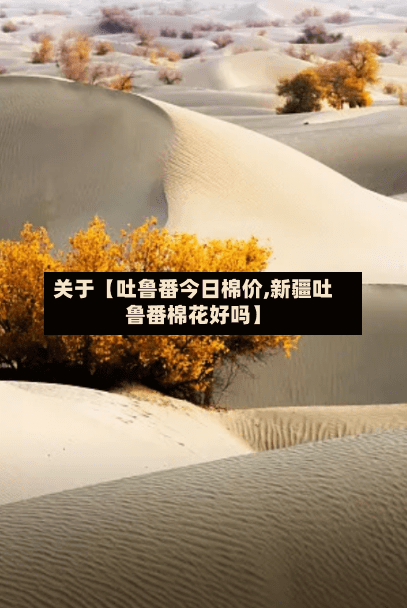 关于【吐鲁番今日棉价,新疆吐鲁番棉花好吗】-第2张图片