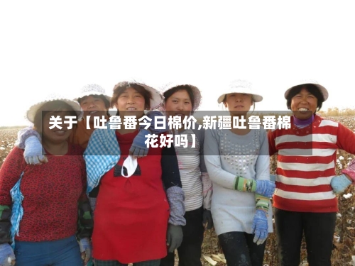 关于【吐鲁番今日棉价,新疆吐鲁番棉花好吗】