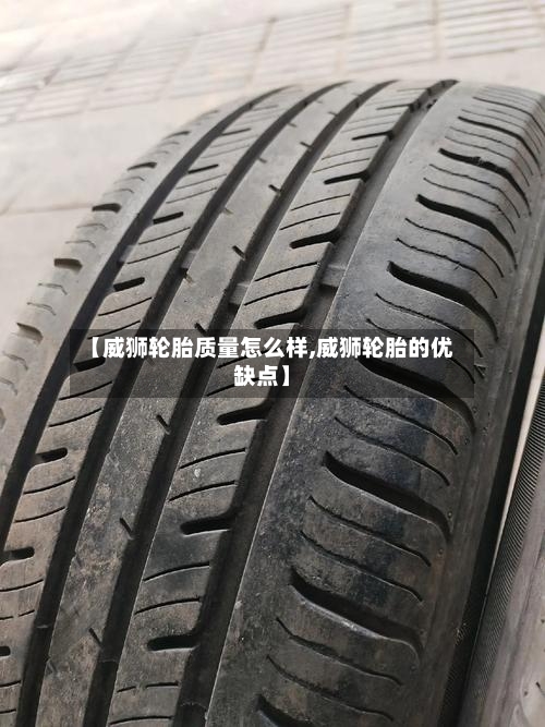 【威狮轮胎质量怎么样,威狮轮胎的优缺点】-第2张图片