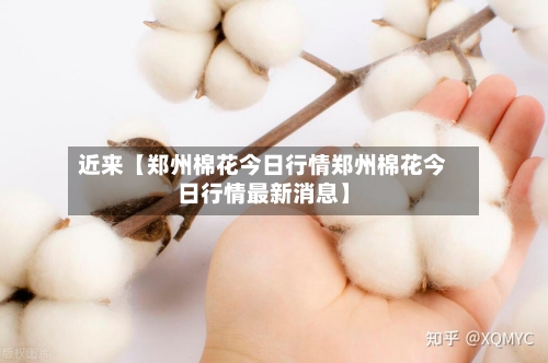 近来【郑州棉花今日行情郑州棉花今日行情最新消息】