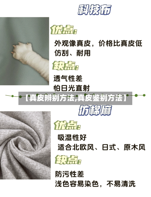 【真皮辨别方法,真皮鉴别方法】