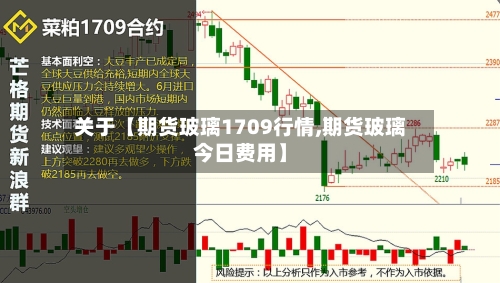 关于【期货玻璃1709行情,期货玻璃今日费用】