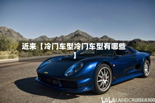 近来【冷门车型冷门车型有哪些】