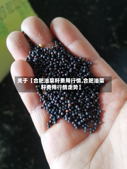 关于【合肥油菜籽费用行情,合肥油菜籽费用行情走势】
