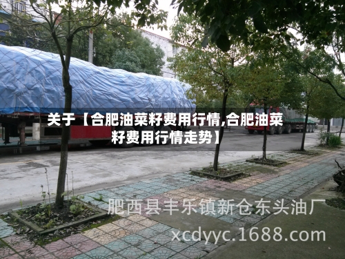 关于【合肥油菜籽费用行情,合肥油菜籽费用行情走势】-第3张图片