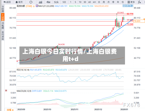 上海白银今日实时行情/上海白银费用t+d