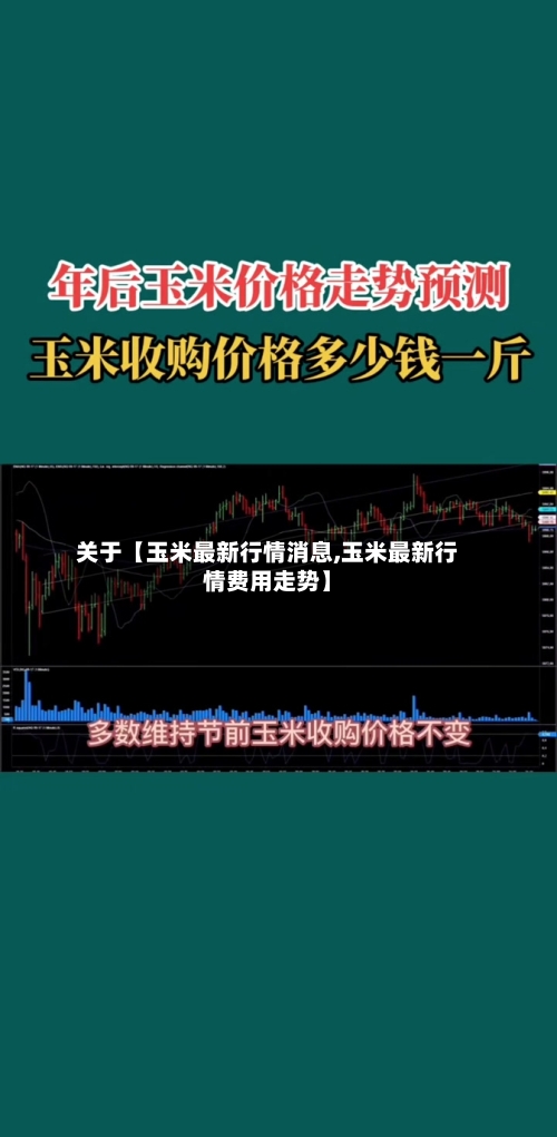关于【玉米最新行情消息,玉米最新行情费用走势】