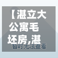 【湛立大公寓毛坯房,湛利家具】