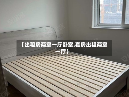 【出租房两室一厅卧室,套房出租两室一厅】-第2张图片