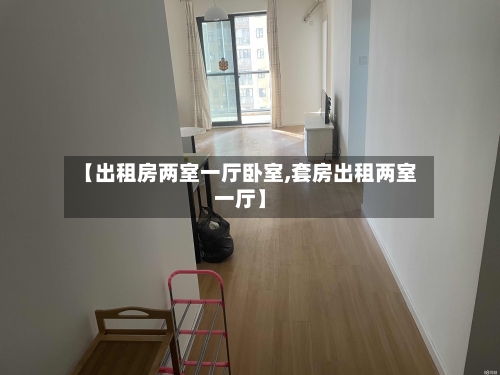 【出租房两室一厅卧室,套房出租两室一厅】-第3张图片