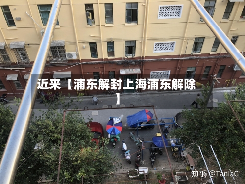 近来【浦东解封上海浦东解除】-第2张图片