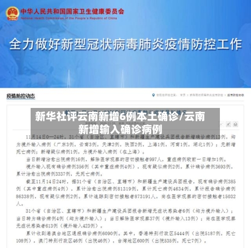 新华社评云南新增6例本土确诊/云南新增输入确诊病例-第2张图片