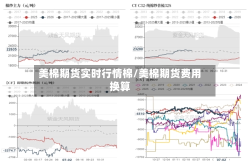 美棉期货实时行情棉/美棉期货费用换算-第2张图片