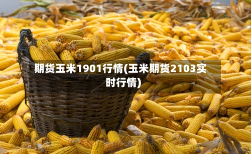 期货玉米1901行情(玉米期货2103实时行情)