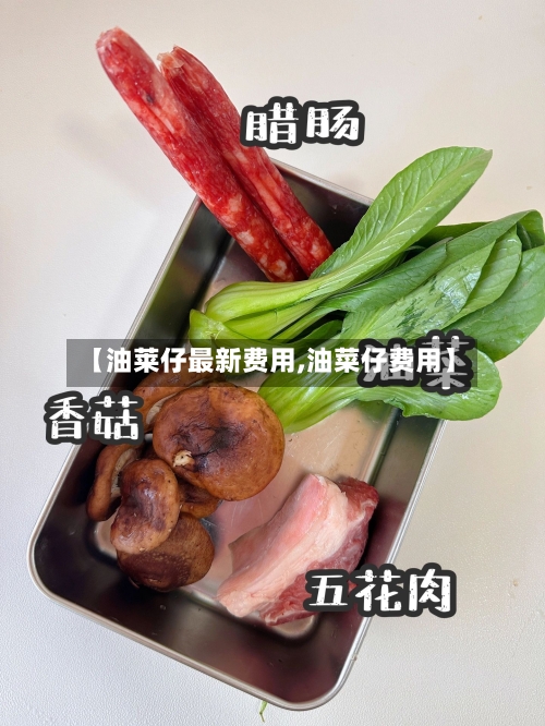 【油莱仔最新费用,油菜仔费用】