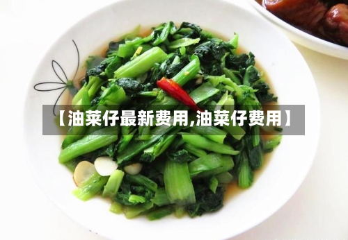 【油莱仔最新费用,油菜仔费用】-第3张图片