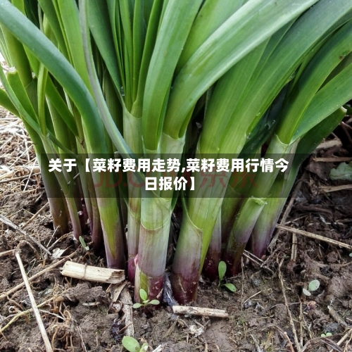 关于【菜籽费用走势,菜籽费用行情今日报价】-第3张图片