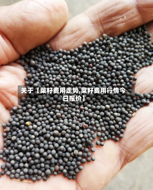关于【菜籽费用走势,菜籽费用行情今日报价】