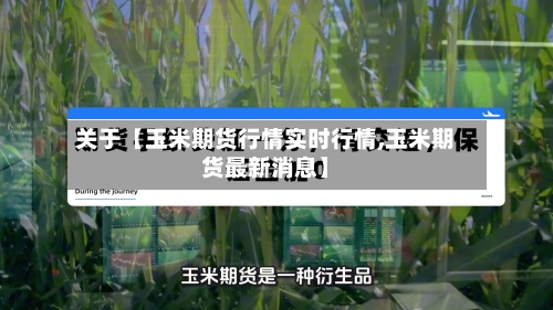 关于【玉米期货行情实时行情,玉米期货最新消息】