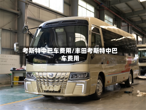 考斯特中巴车费用/丰田考斯特中巴车费用-第3张图片
