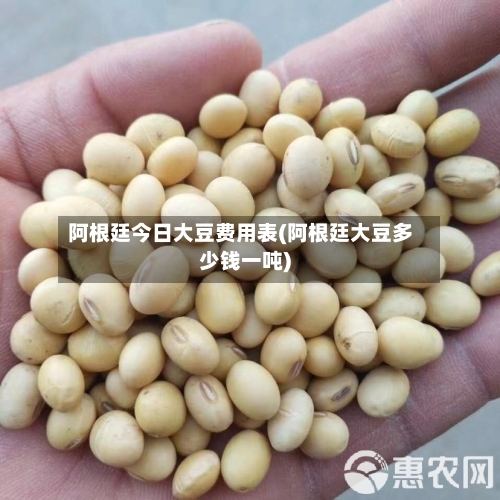 阿根廷今日大豆费用表(阿根廷大豆多少钱一吨)