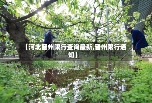 【河北晋州限行查询最新,晋州限行通知】-第2张图片