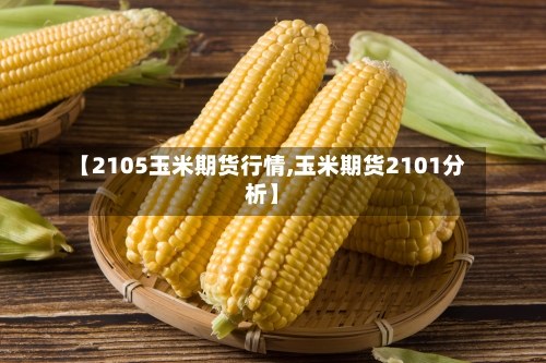 【2105玉米期货行情,玉米期货2101分析】