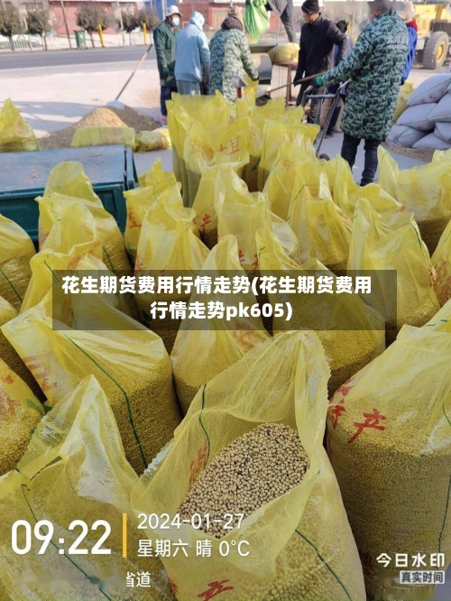 花生期货费用行情走势(花生期货费用行情走势pk605)