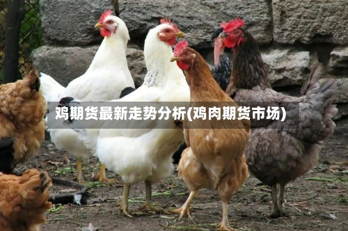 鸡期货最新走势分析(鸡肉期货市场)