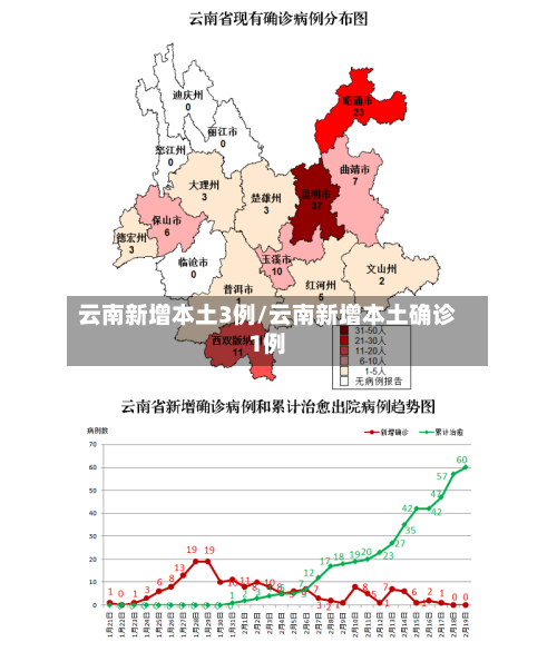 云南新增本土3例/云南新增本土确诊1例-第2张图片