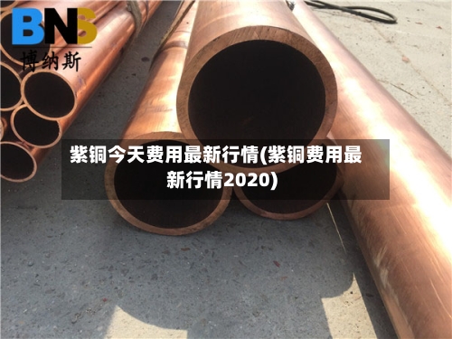 紫铜今天费用最新行情(紫铜费用最新行情2020)-第2张图片