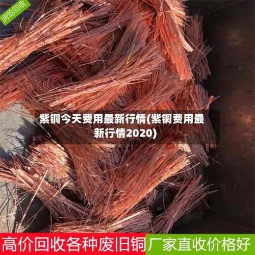 紫铜今天费用最新行情(紫铜费用最新行情2020)-第3张图片