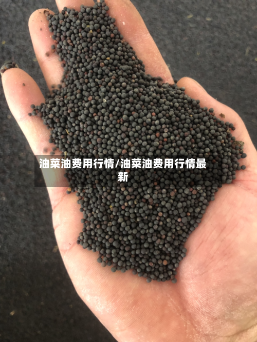 油菜油费用行情/油菜油费用行情最新