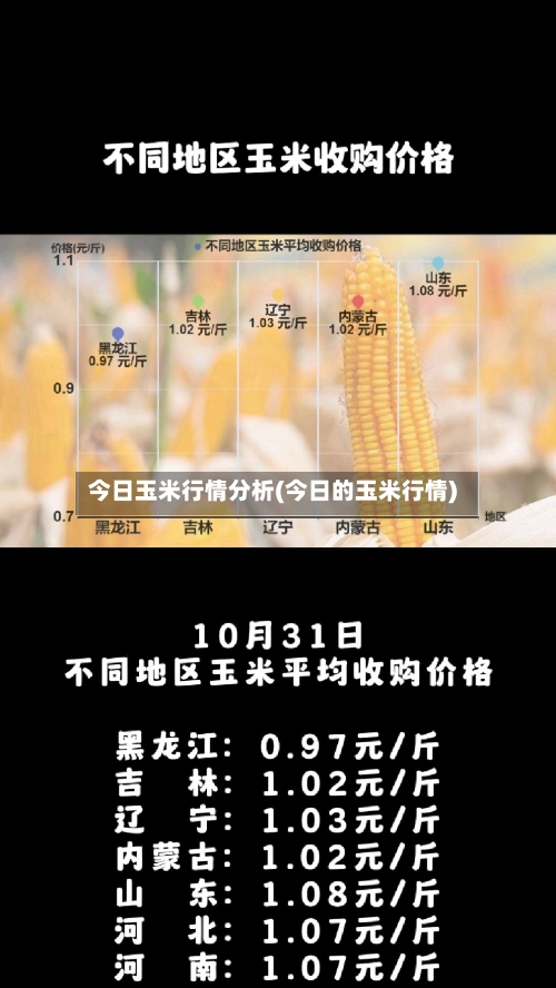 今日玉米行情分析(今日的玉米行情)-第2张图片