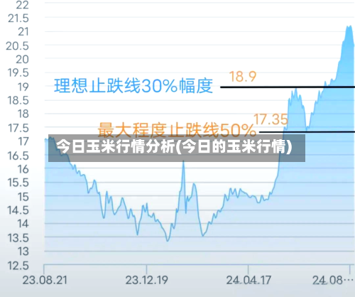 今日玉米行情分析(今日的玉米行情)