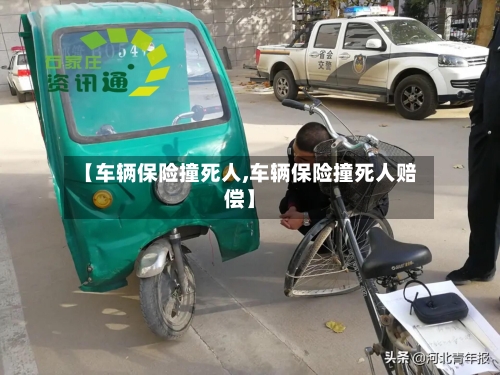 【车辆保险撞死人,车辆保险撞死人赔偿】