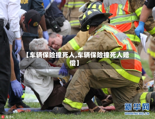 【车辆保险撞死人,车辆保险撞死人赔偿】-第2张图片