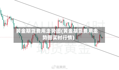 黄金期货费用走势图(黄金期货费用走势图实时行情)